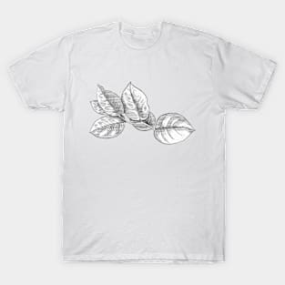 Salal T-Shirt